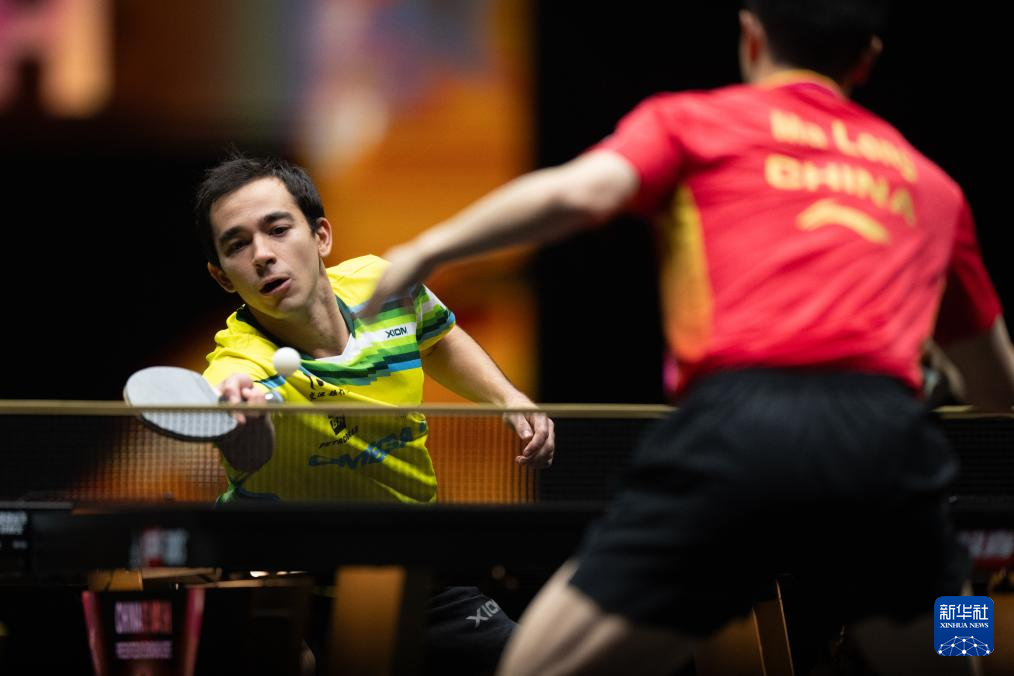 维斯塔潘的 维斯塔潘的