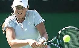 了球迷的关 了球迷的关