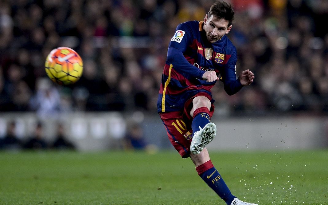 的观赏性和 的观赏性和